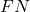 FN