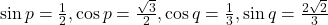 \sin p = \frac{1}{2}, \cos p = \frac{\sqrt{3}}{2}, \cos q = \frac{1}{3}, \sin q = \frac{2\sqrt{2}}{3}