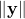 \|\mathbf{y}\|